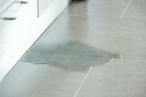 underground water leak, water leak detection, professional plumbers